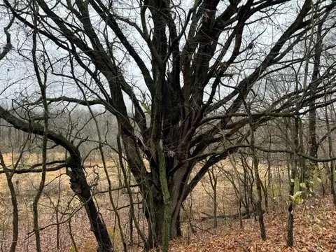 0 Overlook #7, Saline, MI 48176