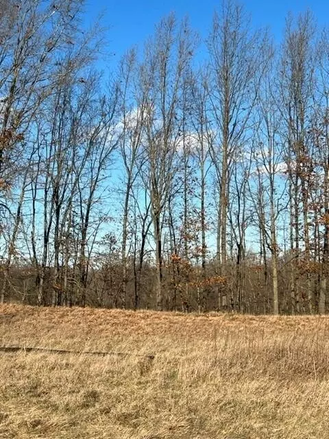 0 Overlook #7, Saline, MI 48176 photo 5