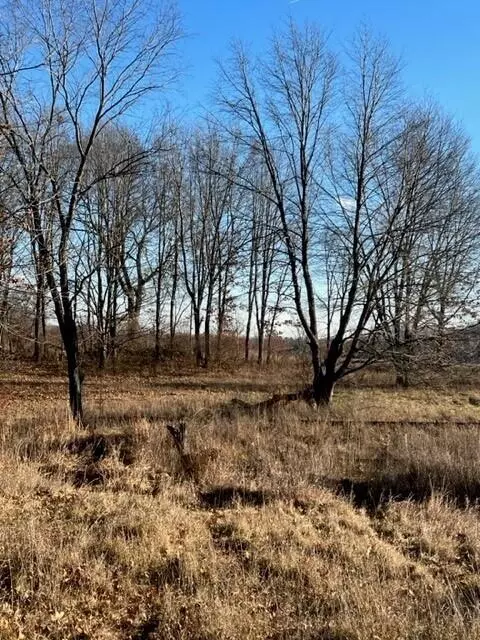 0 Overlook #7, Saline, MI 48176 photo 10