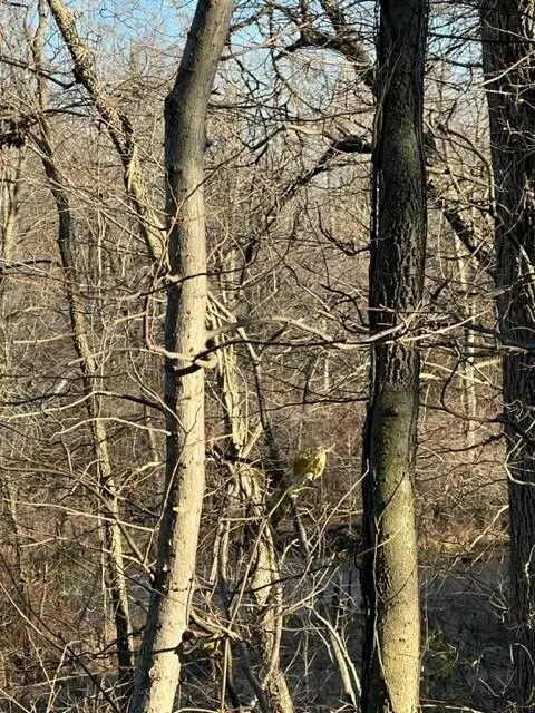 0 Overlook #7, Saline, MI 48176 photo 8