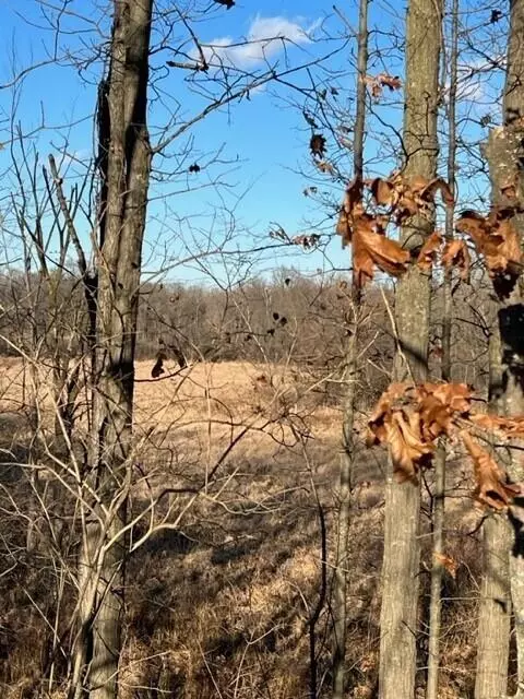 0 Overlook #7, Saline, MI 48176 photo 7