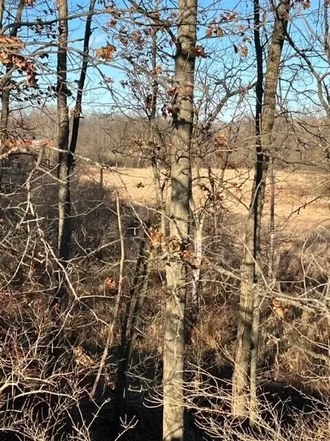0 Overlook #7, Saline, MI 48176 photo 6