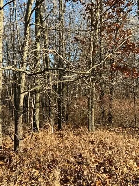 0 Overlook #7, Saline, MI 48176 photo 11