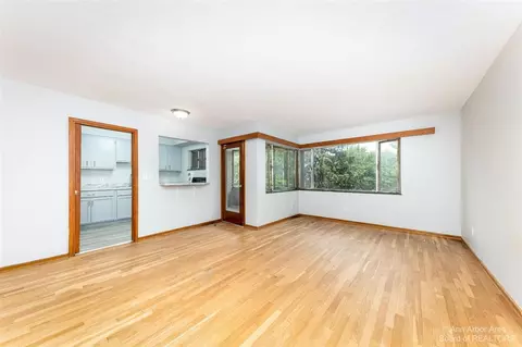 319 State, Adrian, MI 49221 photo 7
