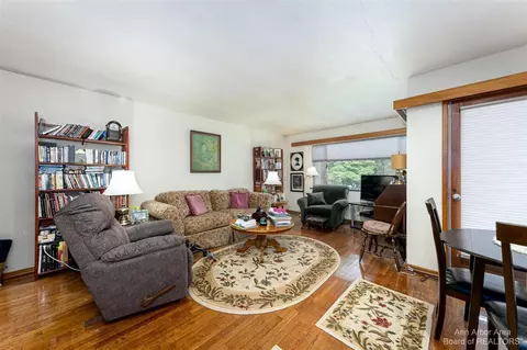 319 State, Adrian, MI 49221 photo 23