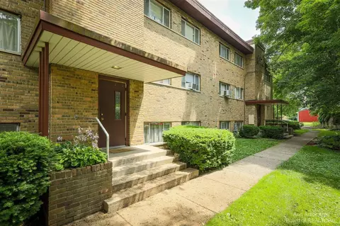 319 State, Adrian, MI 49221 photo 5