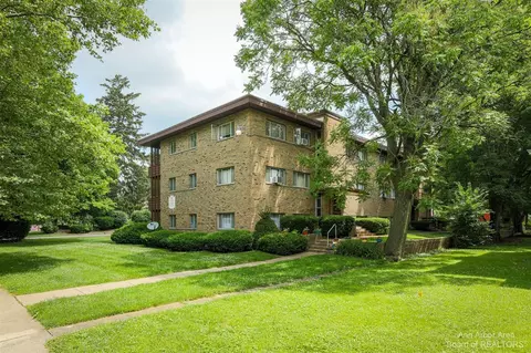 319 State, Adrian, MI 49221 photo 3