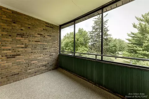 319 State, Adrian, MI 49221 photo 19