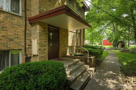 319 State, Adrian, MI 49221 photo 22