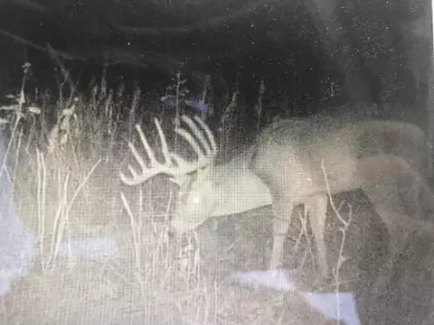0 Vl Half Moon Lk, Hillsdale, MI 49242