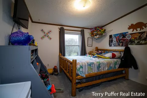 1380 S Derby, Stanton, MI 48888 photo 14