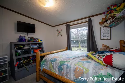 1380 S Derby, Stanton, MI 48888 photo 16