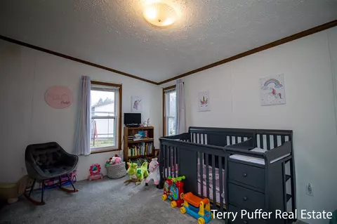 1380 S Derby, Stanton, MI 48888 photo 17