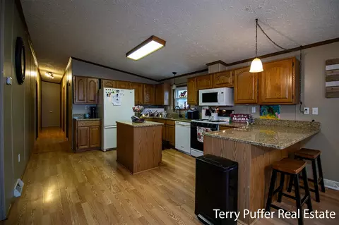 1380 S Derby, Stanton, MI 48888 photo 7