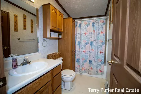 1380 S Derby, Stanton, MI 48888 photo 13