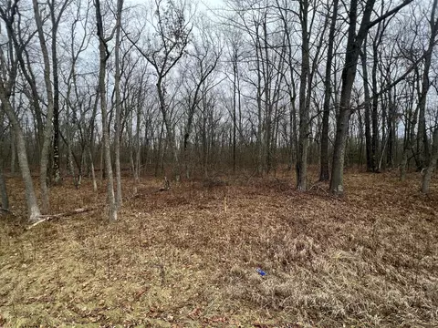 Vl Woodbridge, Bitely, MI 49309 photo 2