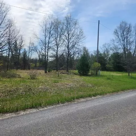 Vl Oak, Baldwin, MI 49304