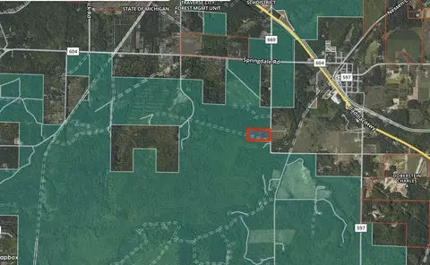 20 Acres Thompsonville, Thompsonville, MI 49683