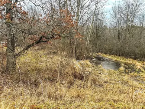 Vl Coon Hill, Munith, MI 49259