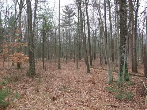 W River, Muskegon, MI 49445