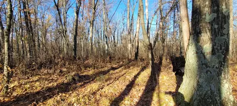 801 E 3 Mile, White Cloud, MI 49349 photo 3