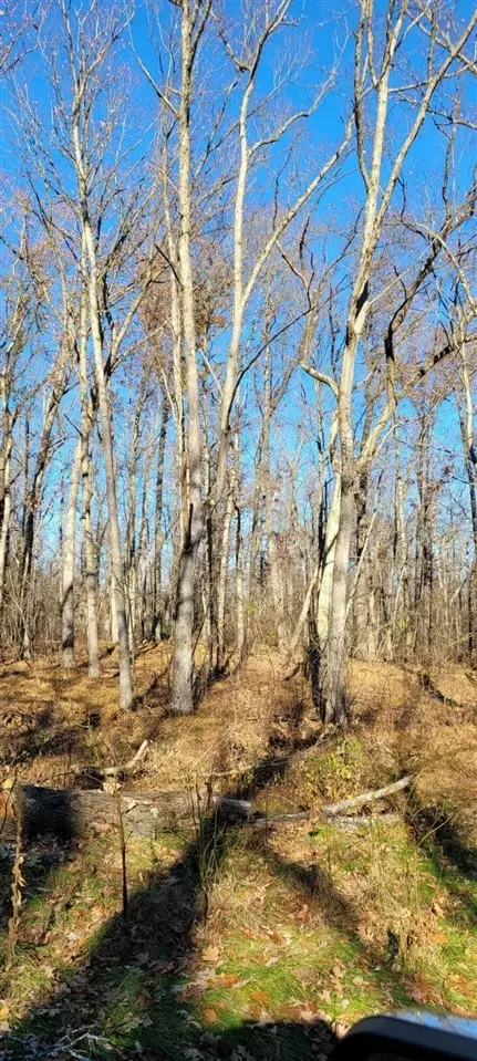 801 E 3 Mile, White Cloud, MI 49349 photo 9