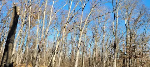 801 E 3 Mile, White Cloud, MI 49349 photo 8
