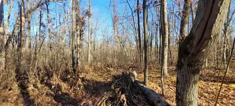 801 E 3 Mile, White Cloud, MI 49349 photo 11