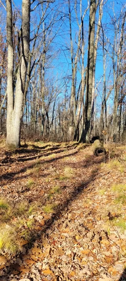 801 E 3 Mile, White Cloud, MI 49349 photo 10