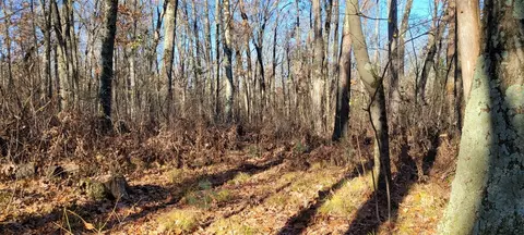 801 E 3 Mile, White Cloud, MI 49349 photo 2