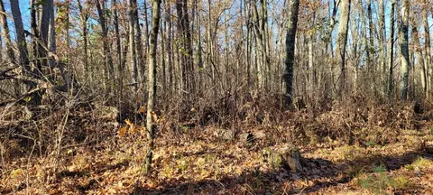 801 E 3 Mile, White Cloud, MI 49349 photo 4