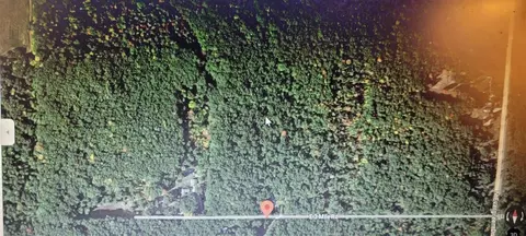801 E 3 Mile, White Cloud, MI 49349 photo 13