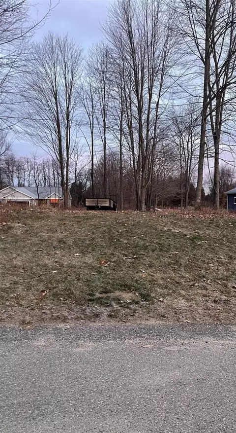 Vl Mcgwire, Ionia, MI 48846