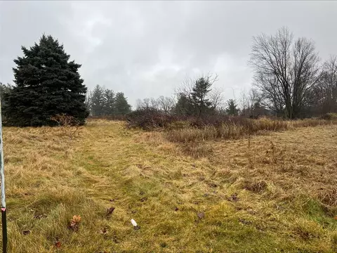 Dog Leg, Bronson, MI 49028 photo 3