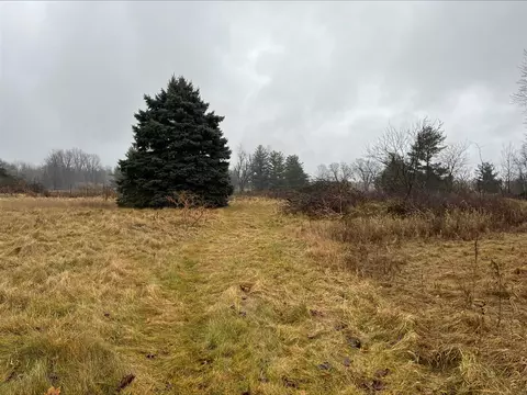 Dog Leg, Bronson, MI 49028 photo 2