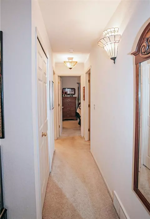 220 Chauncey, Marshall, MI 49068 photo 14