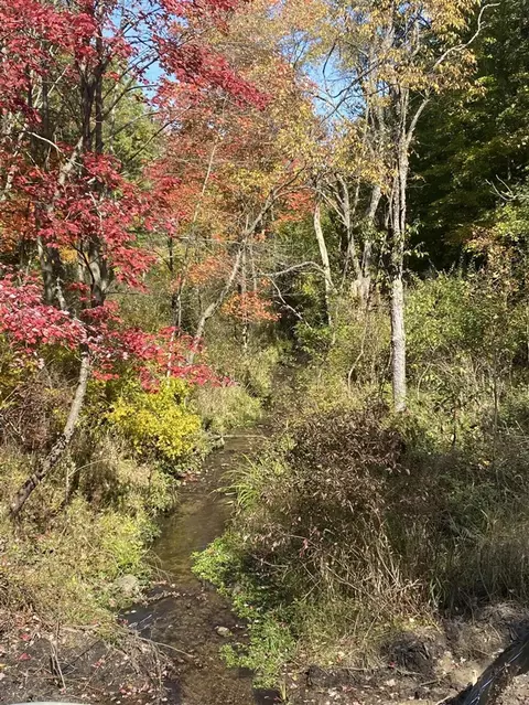 3089 Elk Antler, Plainwell, MI 49080 photo 3