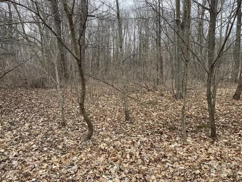 Lot 182 East Shore, Stanton, MI 48888