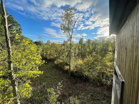 T, Bellevue, MI 49021
