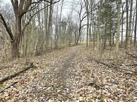 48868 49th, Lawrence, MI 49064 photo 29
