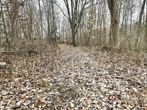 48868 49th, Lawrence, MI 49064 photo 30
