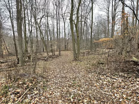 48868 49th, Lawrence, MI 49064 photo 28