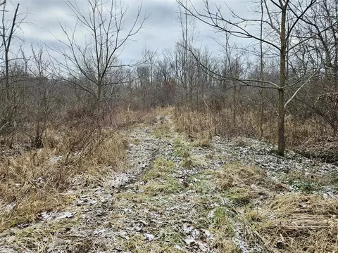 48868 49th, Lawrence, MI 49064 photo 35