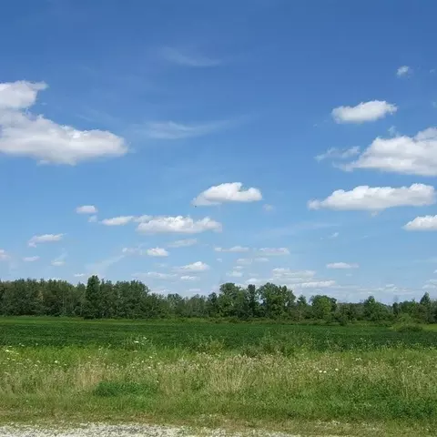 9 Ashley, Allenton, MI 48002
