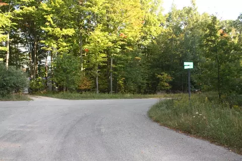 0 Fox Glove #LOT 23, Big Rapids, MI 49307 photo 4