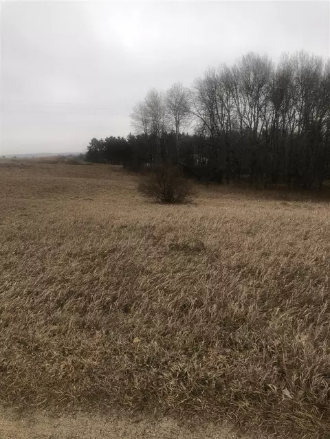 0 Fox Glove #LOT 23, Big Rapids, MI 49307 photo 10