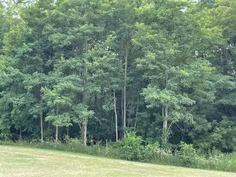 9435 Case, Brooklyn, MI 49230 photo 66