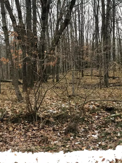 10462 Mountain Vw #374, Canadian Lakes, MI 49346
