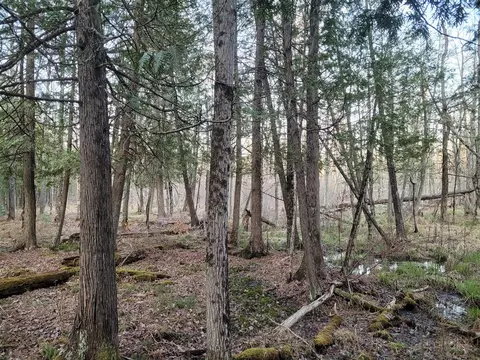 V/l Old M-63, Luther, MI 49656