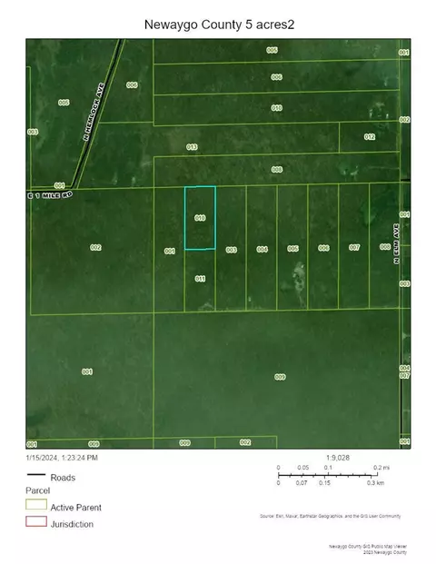 Vl N Elm, White Cloud, MI 49349 photo 3